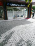 Vega Veterinary Clinic (İstanbul, Beylikdüzü, Adnan Kahveci Mah., Çamlıtepe Cad., 23A), pet products wholesale