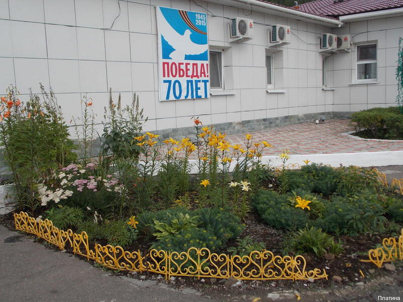 Фото Платина