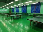 Государственная спортивная школа олимпийского резерва по настольному теннису (Korolenko Street, 1А), sports school