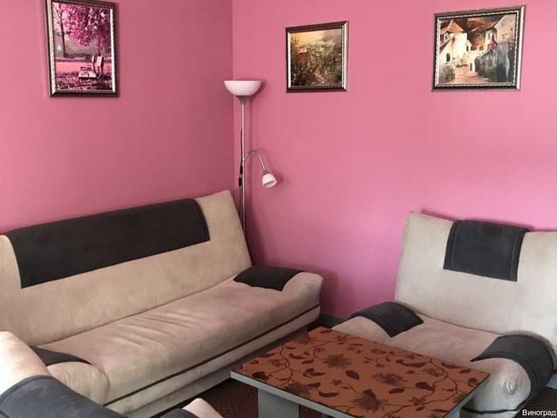 Фото Виноград