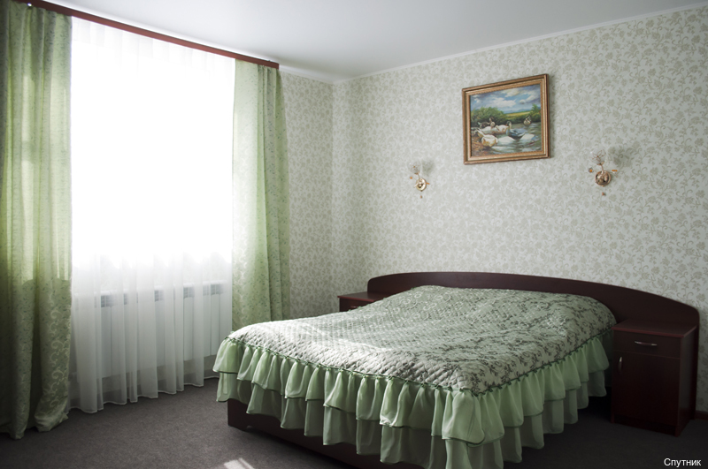 Фото Спутник