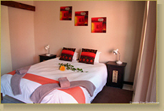 Фото Dunedin Star Guesthouse