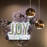 Joy Territory (ulitsa imeni V.I. Chapayeva, 48), lingerie and swimwear shop