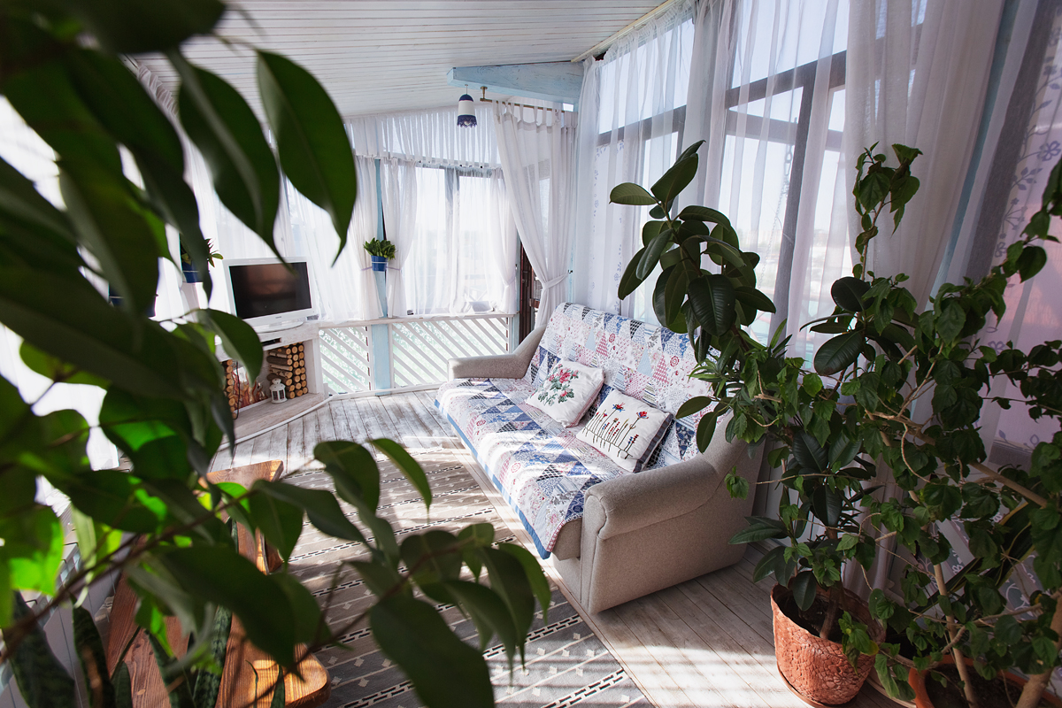 Фото Колесо