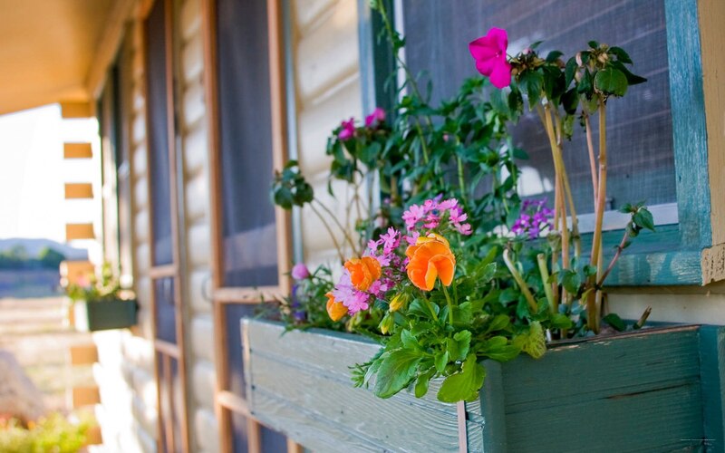 Фото Yellowstone Valley Lodge, Ascend Hotel Collection