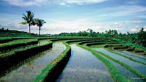 Фото Four Seasons Hotel Austin