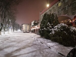Лебедь