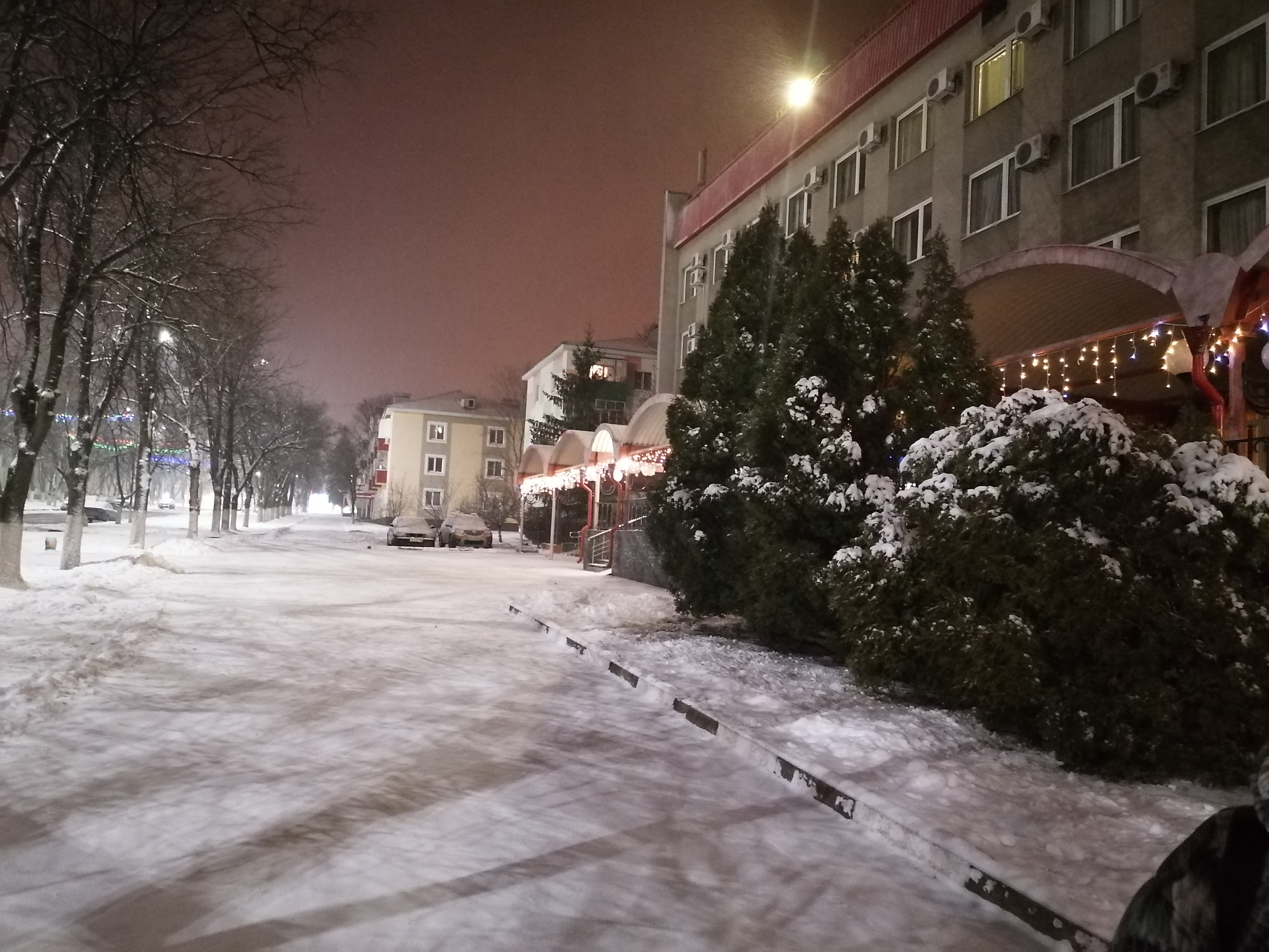 Фото Лебедь