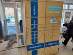 Ozon box (Ostrovskogo Street, 13/1), parcel automat