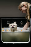 Barberdog (Berzarina Street, 28Ак1) ، صالون حيوانات أليفة