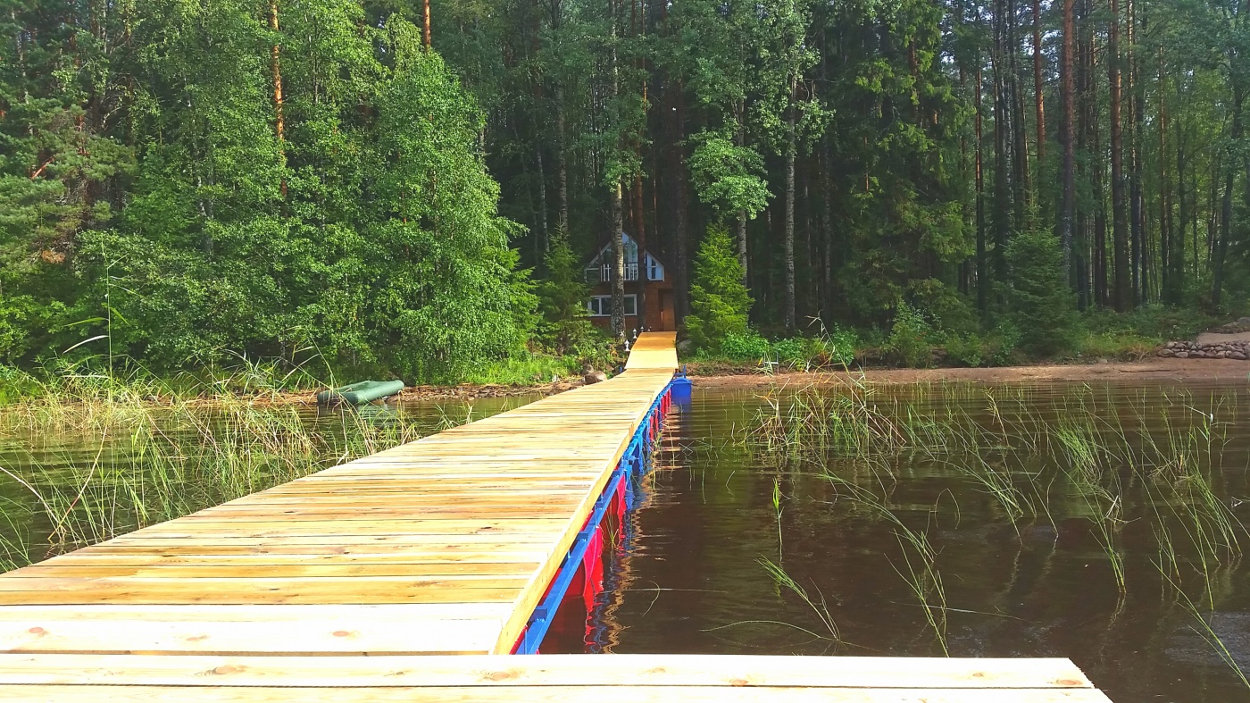 Фото Черная лиса