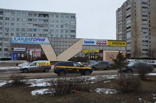 Кунилингуспен және минетпен жатын бөлмесінде романтикалық секс