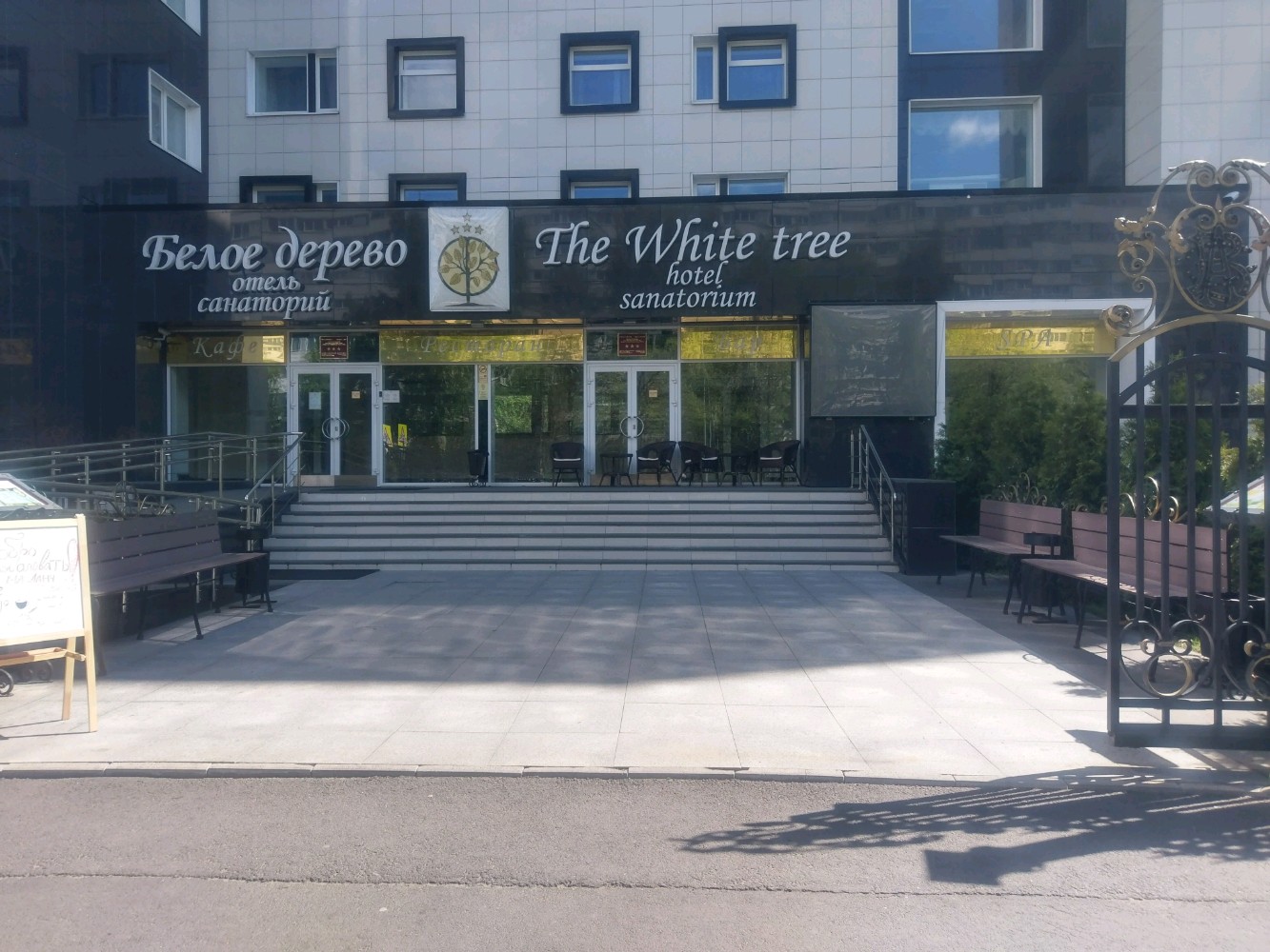 Фото Белое Дерево