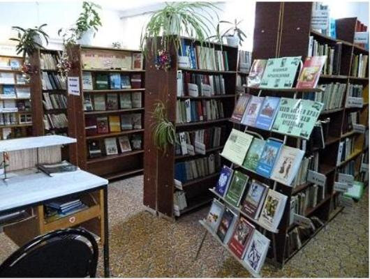 Library Детская библиотека г. Фокино, Fokino, photo
