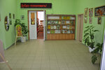 Клинская городская библиотека № 2 (Borodinskiy proyezd, 5), library