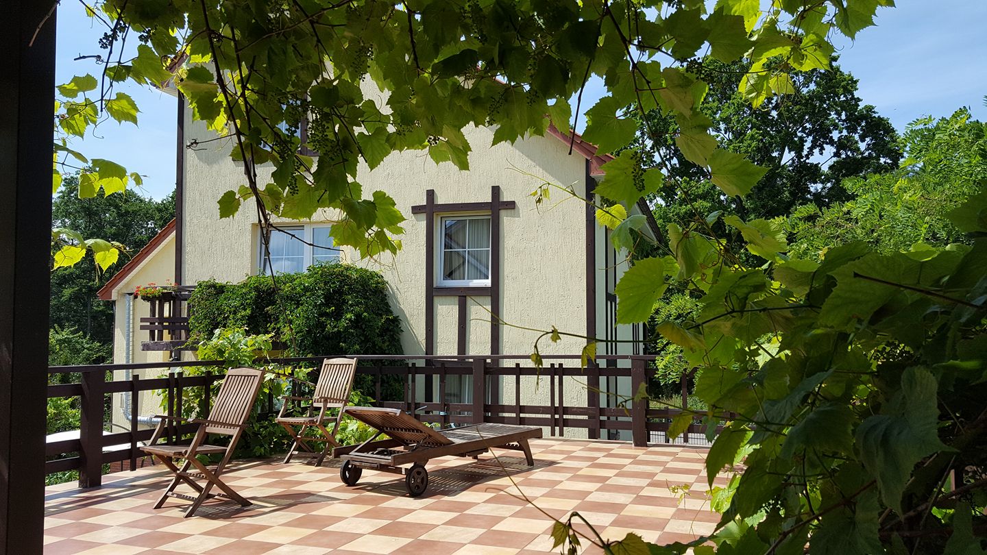 Фото Золотая Орхидея