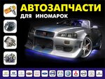 Фото 7 Кедр