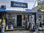 Śnieżka (Minski District, Shchomyslicki Rural Council, Mienkowski trakt, 2А), recubrimientos decorativos