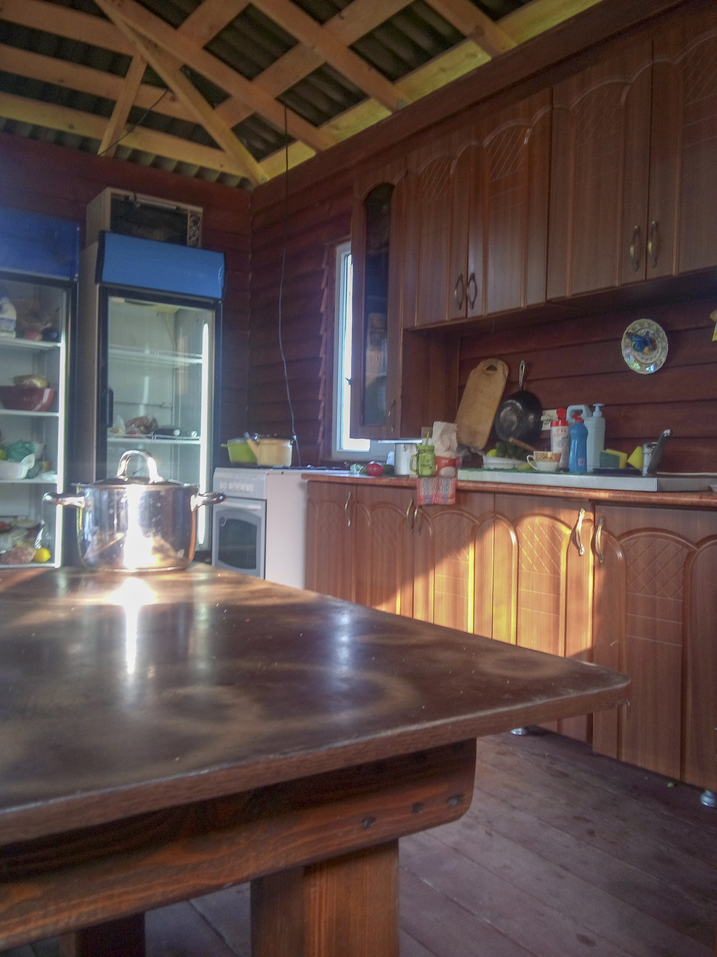 Фото Ласточка