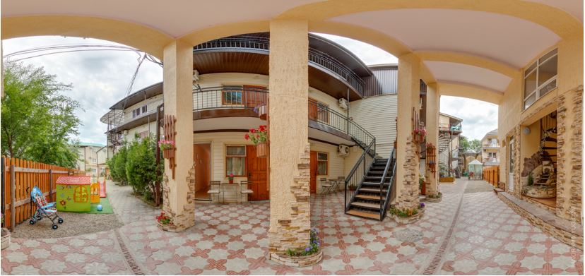 Фото Березка