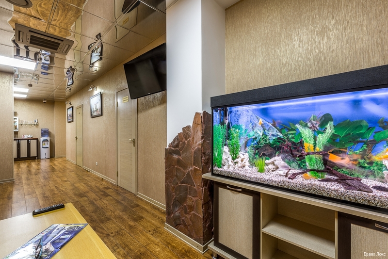 Фото Браво Люкс