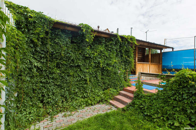 Фото Айвенго