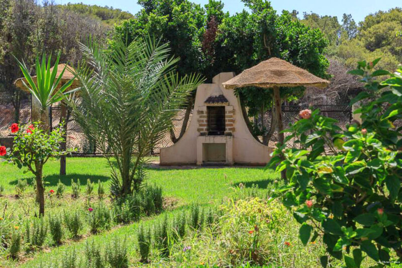 Фото Les Oliviers Palace