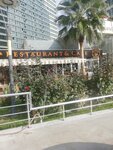 Sultan Restaruant - Cafe (Güzelyurt Mah., 2148. Sok., No:5D, Esenyurt, İstanbul), restoran  Esenyurt'tan