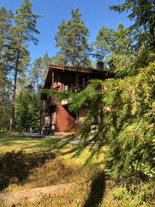 Лесная Рапсодия