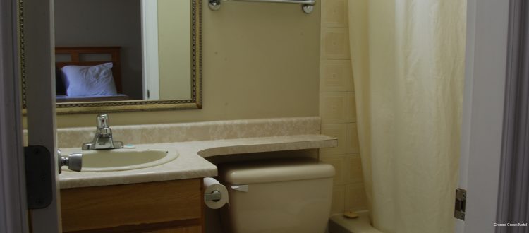 Фото Grouse Creek Motel