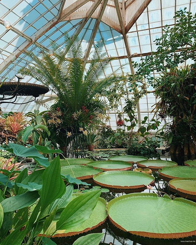 Фото Nobu Hotel Palo Alto