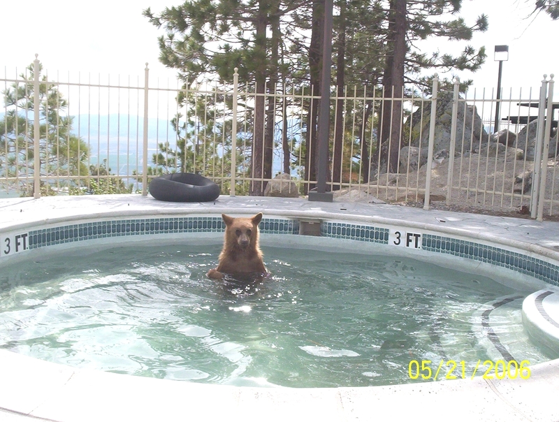 Фото Holiday Inn Club Vacations Tahoe Ridge Resort