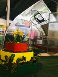 Agromaster (mikrorayon Skhodnya, Oktyabrskaya Street, 29), tienda para jardineros
