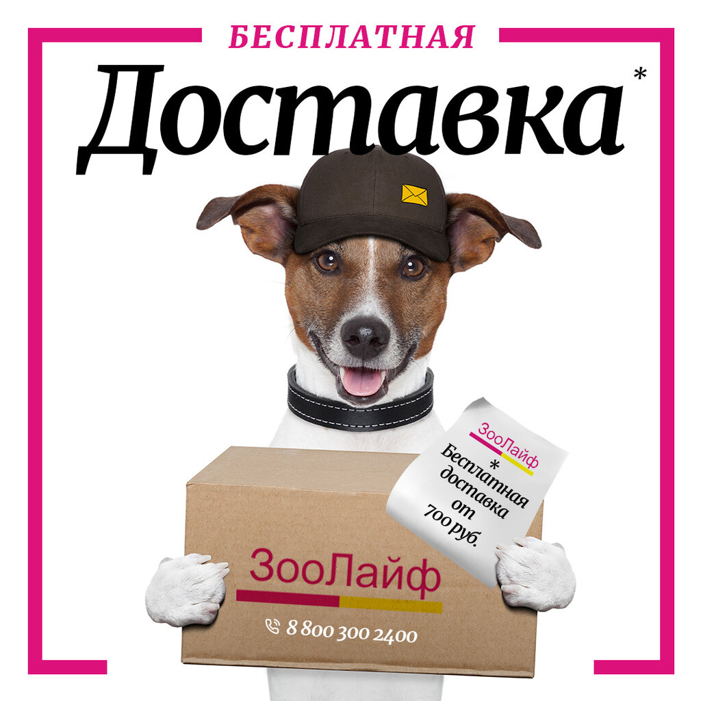 Зоолайф 74 Интернет Магазин