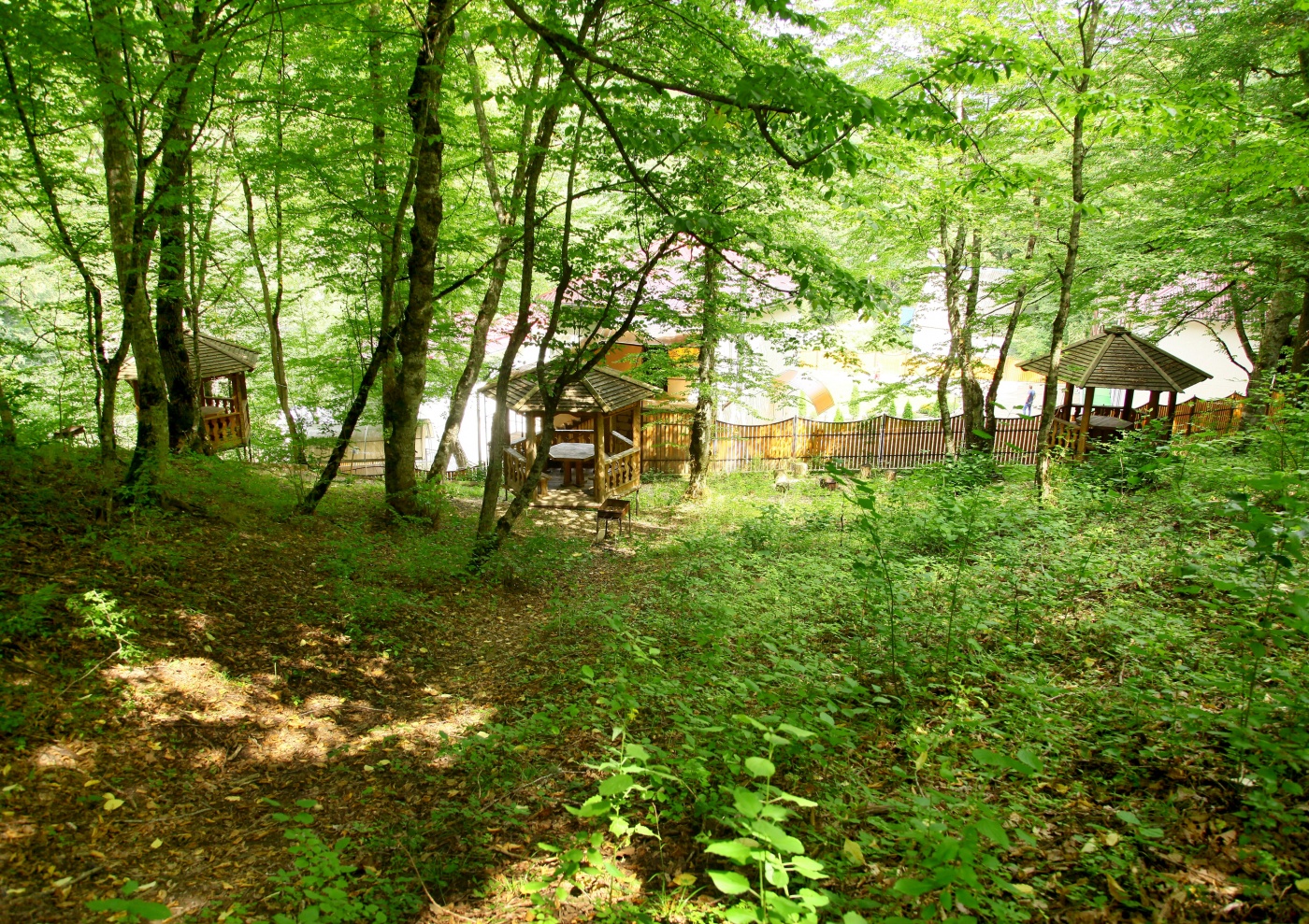 Фото Грин Хаус