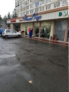 Shaxri Osiyo (Almazar District, Sebzar Residential Area, 52), beauty salon