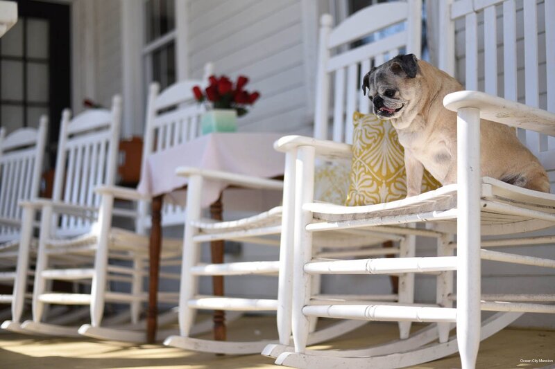 Фото Ocean City Mansion