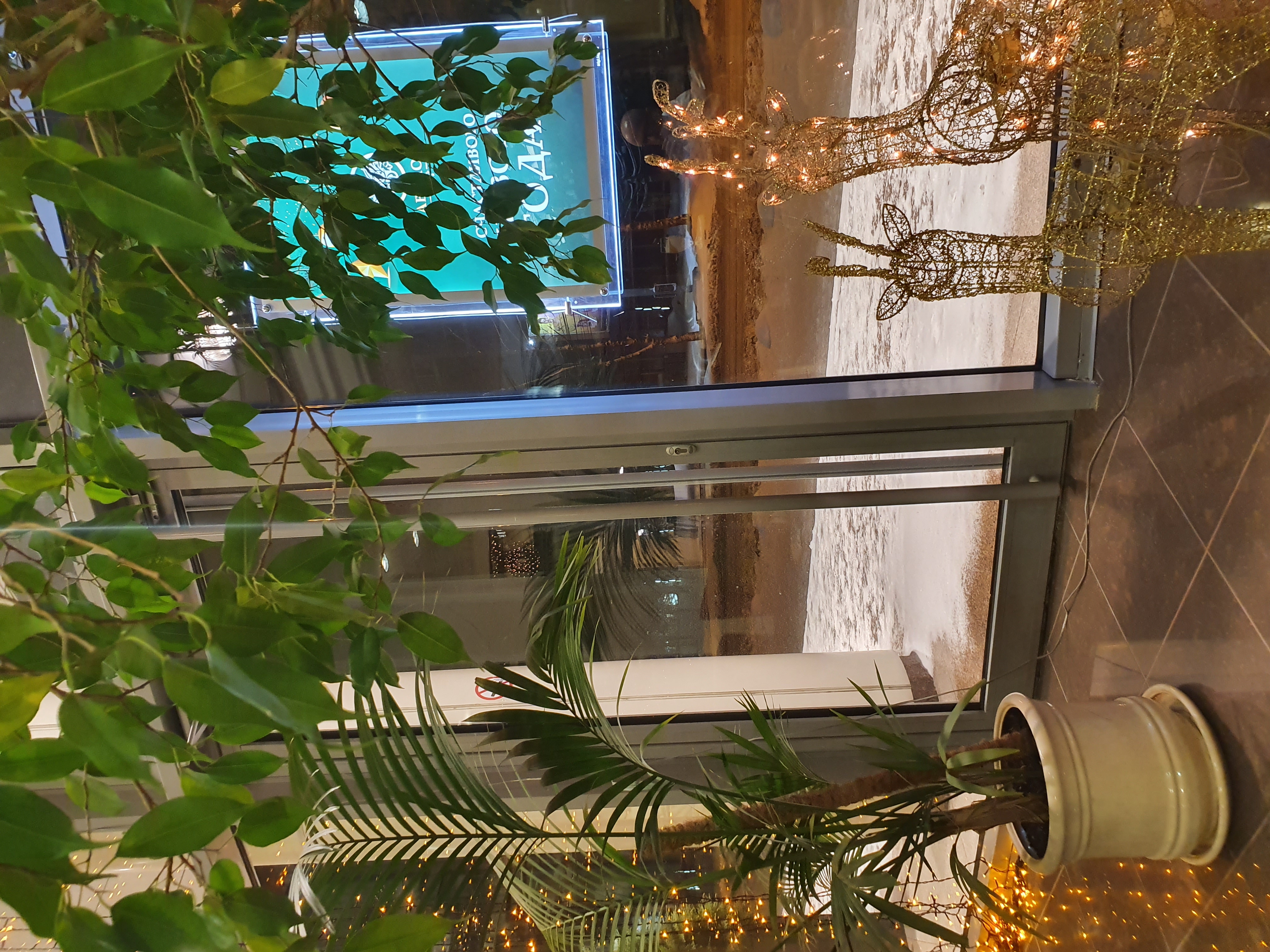 Фото Авалон