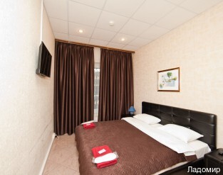 Фото Ладомир