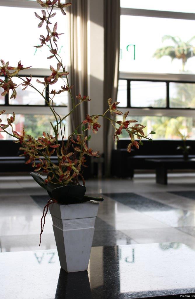 Фото Pisa Plaza Hotel