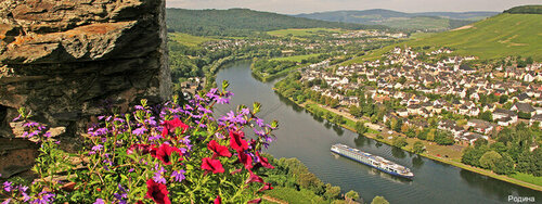 Внешний вид отеля Родина в Сергиевом Посаде, фото 2