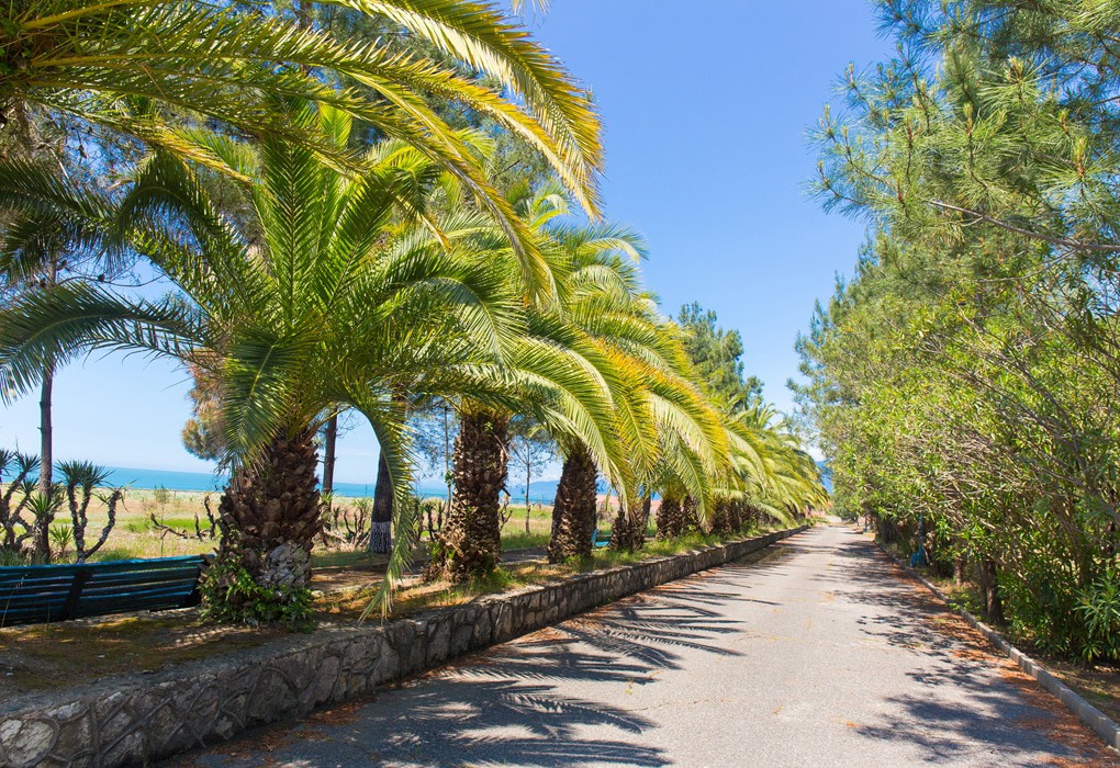 Фото Золотые пески