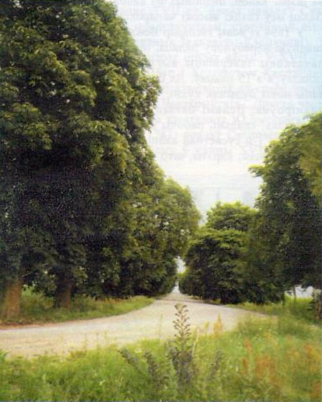 موقع تذكاري Entrance Alley of the Ożarowski estate ، ، صورة