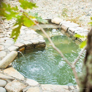 Фото Можжевеловый рай