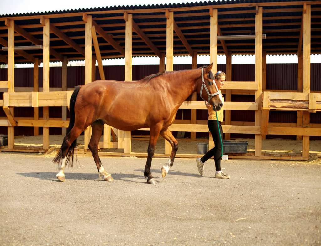 Фото Чернышевой