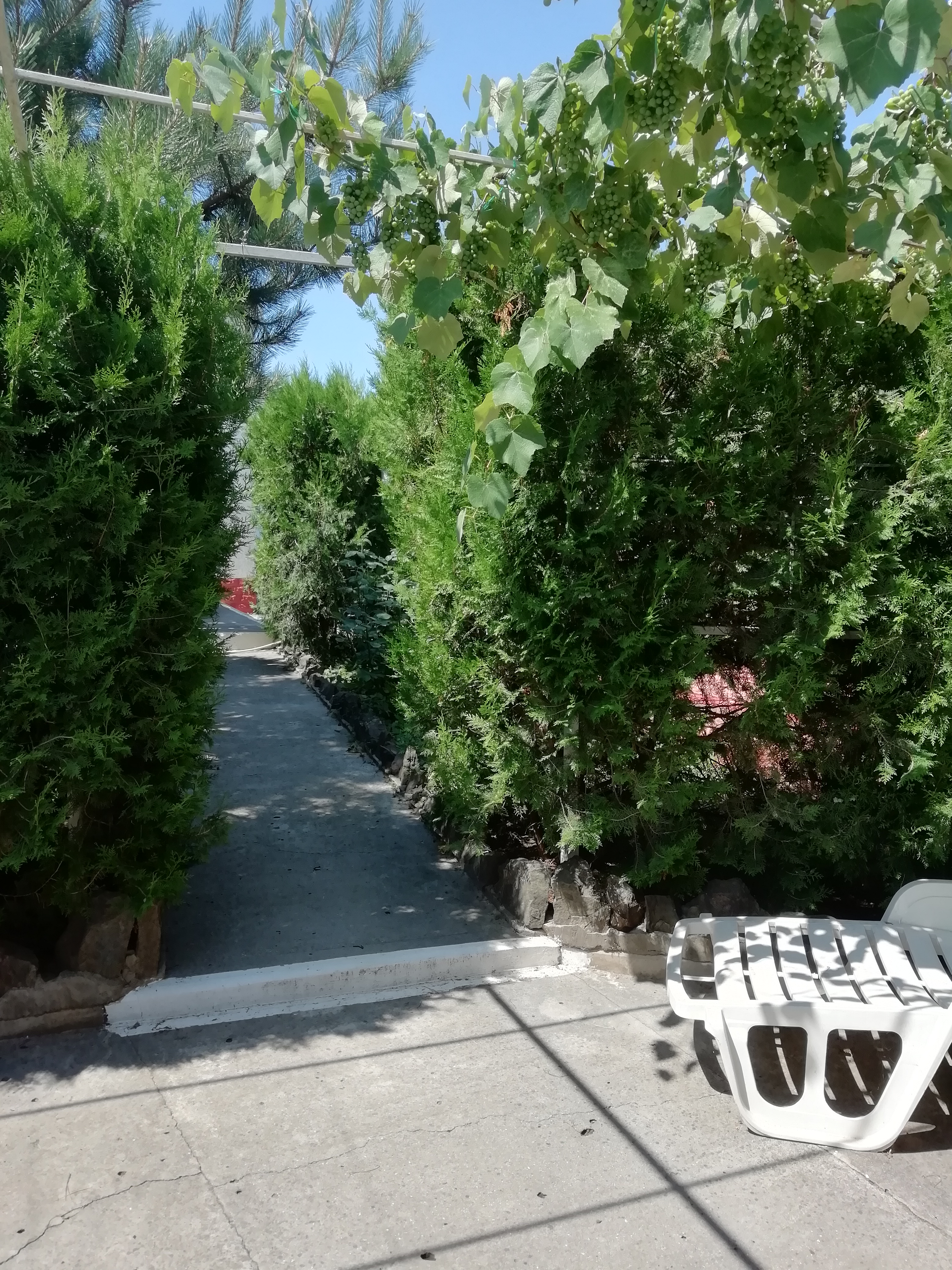 Фото Лукулл