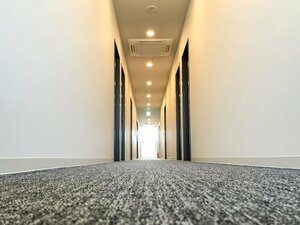 Гостиница Hotel Rib Max BUDGET Fuji Ekimae