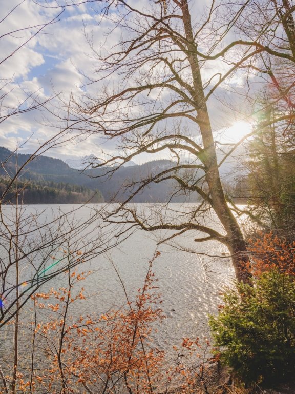 Фото Ameron Neuschwanstein Alpsee Resort & SPA