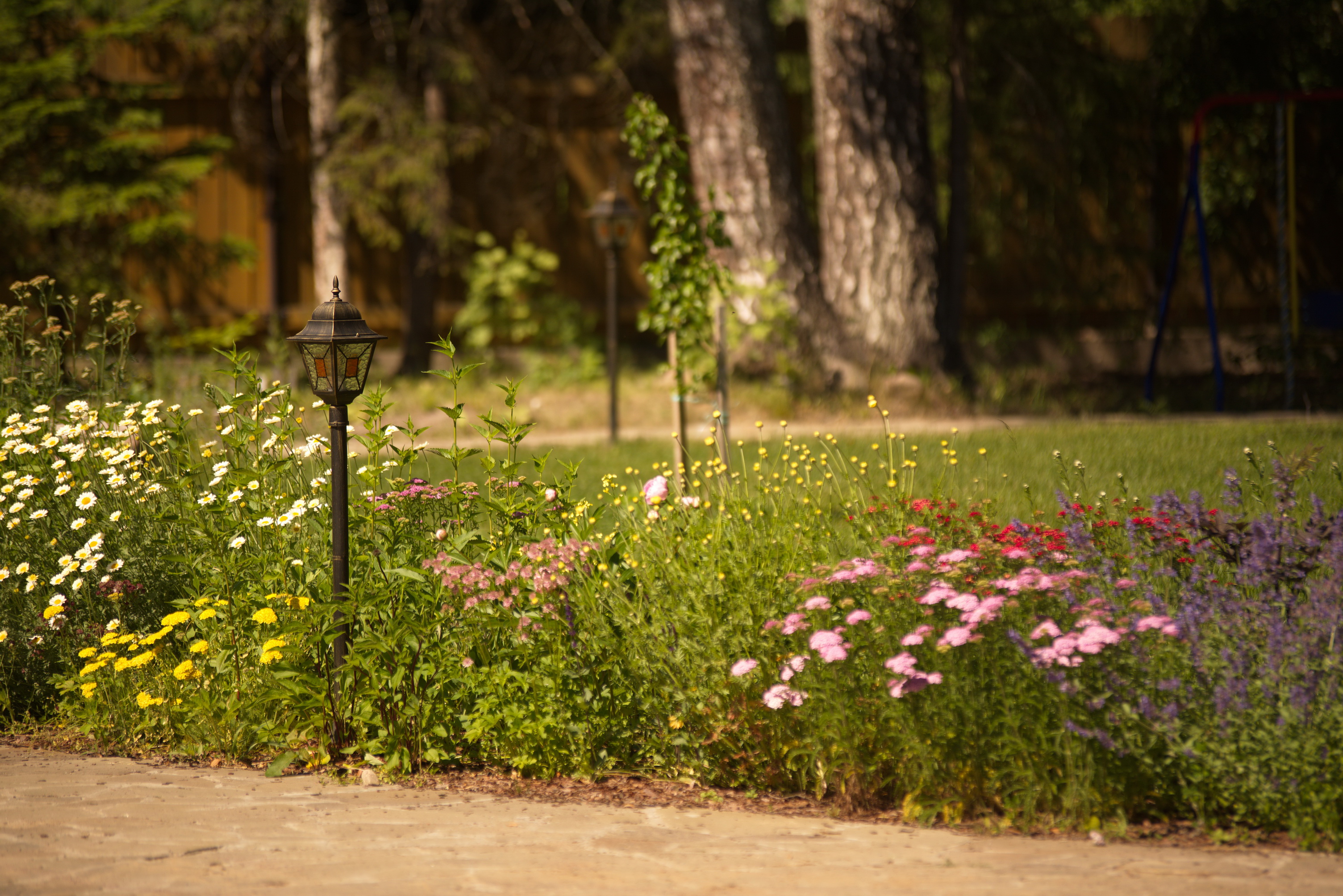 Фото Вырицкий мамонт