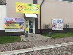 Sunway (Pionerskaya Street, 66), household goods and chemicals shop